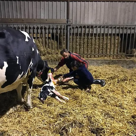 住宿加早餐酒店 Herberg Boerderij De Straat-hof