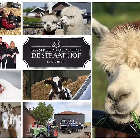 Herberg Boerderij De Straat-hof * Leimuiden