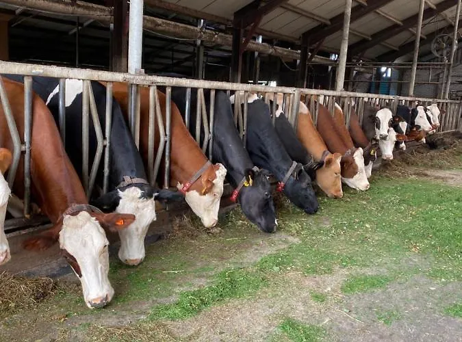 Alojamento de Acomodação e Pequeno-almoço Herberg Boerderij De Straat-hof Leimuiden