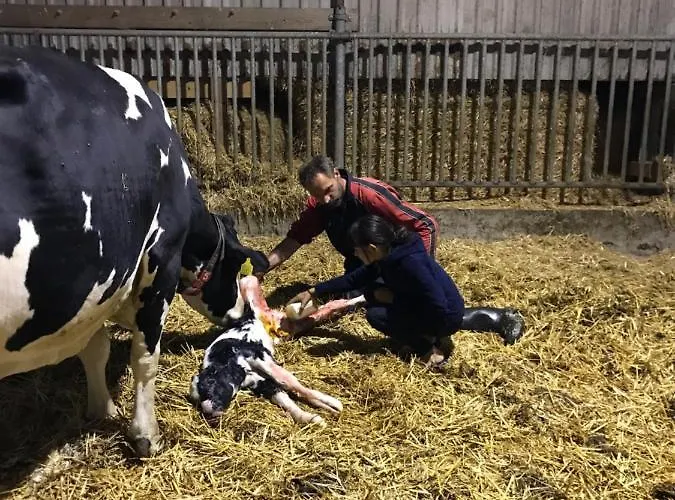 Alojamento de Acomodação e Pequeno-almoço Herberg Boerderij De Straat-hof