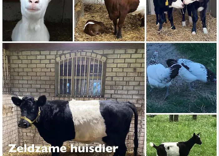 Herberg Boerderij De Straat-hof Alojamento de Acomodação e Pequeno-almoço