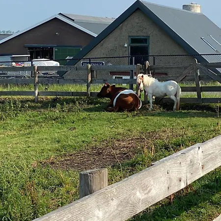 Frühstückspension Herberg Boerderij De Straat-hof *