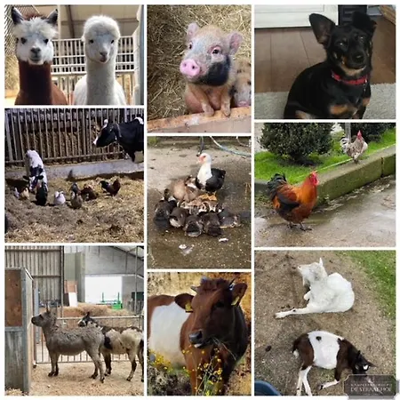 Panzió Herberg Boerderij De Straat-hof *