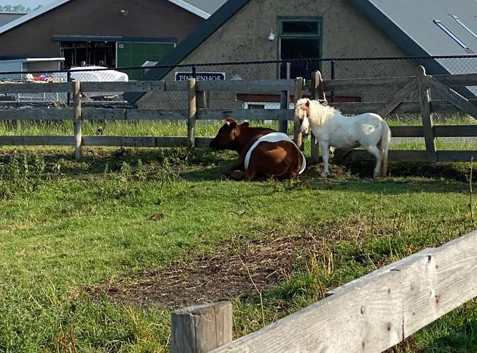 Bed & Breakfast Herberg Boerderij De Straat-hof *