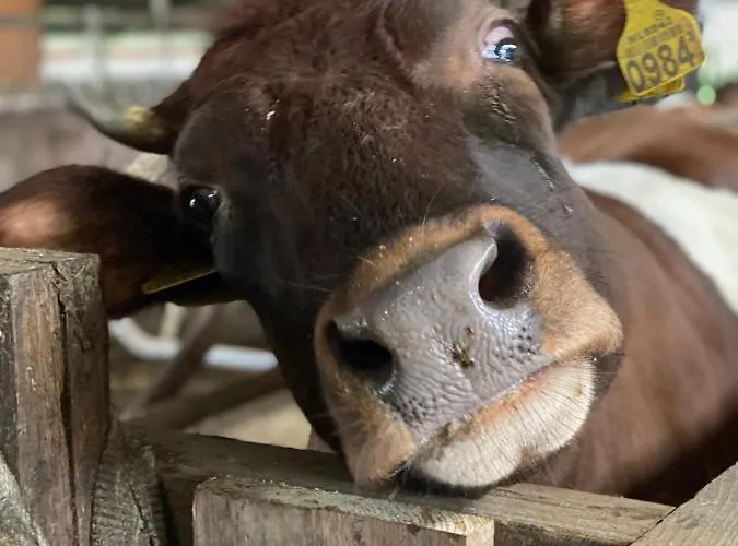 Herberg Boerderij De Straat-hof *