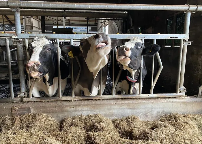 Herberg Boerderij De Straat-hof Leimuiden