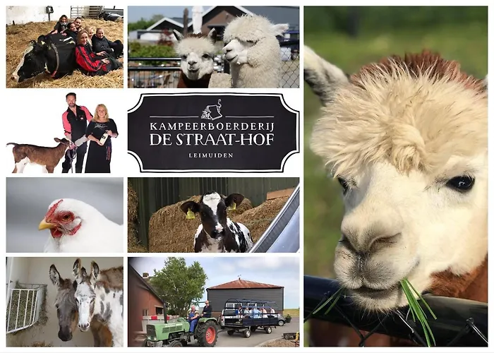 Herberg Boerderij De Straat-hof * Leimuiden