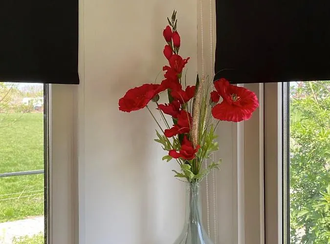 Herberg Boerderij De Straat-hof Bed & Breakfast *