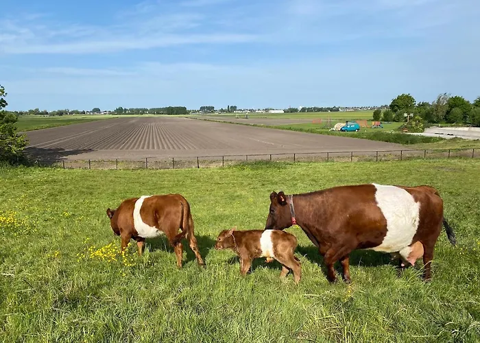 Herberg Boerderij De Straat-hof * Leimuiden